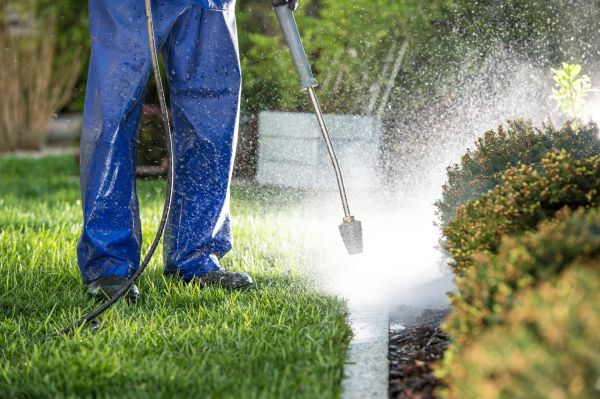 Cost of Curb Cleaning in El Cajon