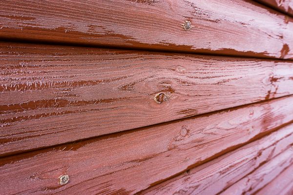 Cedar Siding Cleaning in El Cajon