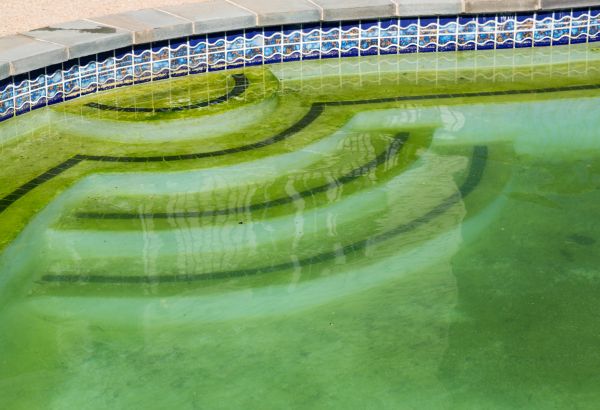 Pool Deck Algae Removal in El Cajon