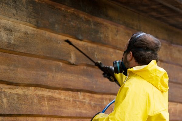 Cedar Siding Washing in El Cajon
